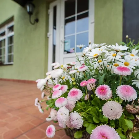 Guest house Parada Pensjon 2*